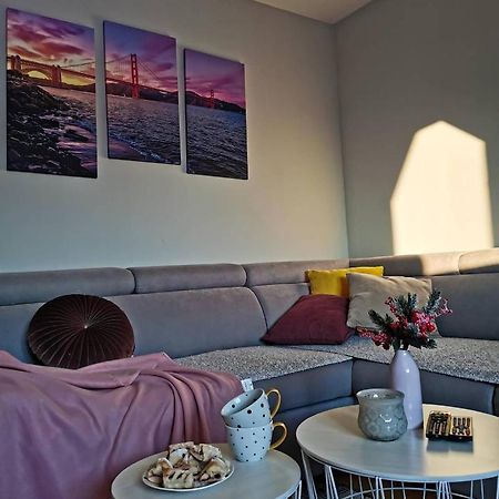 Apartman Jela Nova Varoš エクステリア 写真