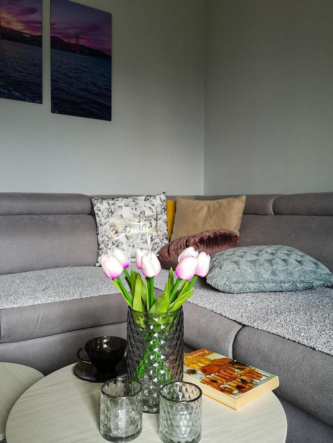 Apartman Jela Nova Varoš エクステリア 写真