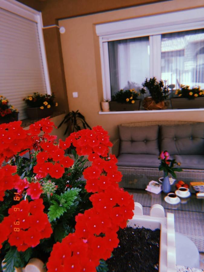 Apartman Jela Nova Varoš エクステリア 写真