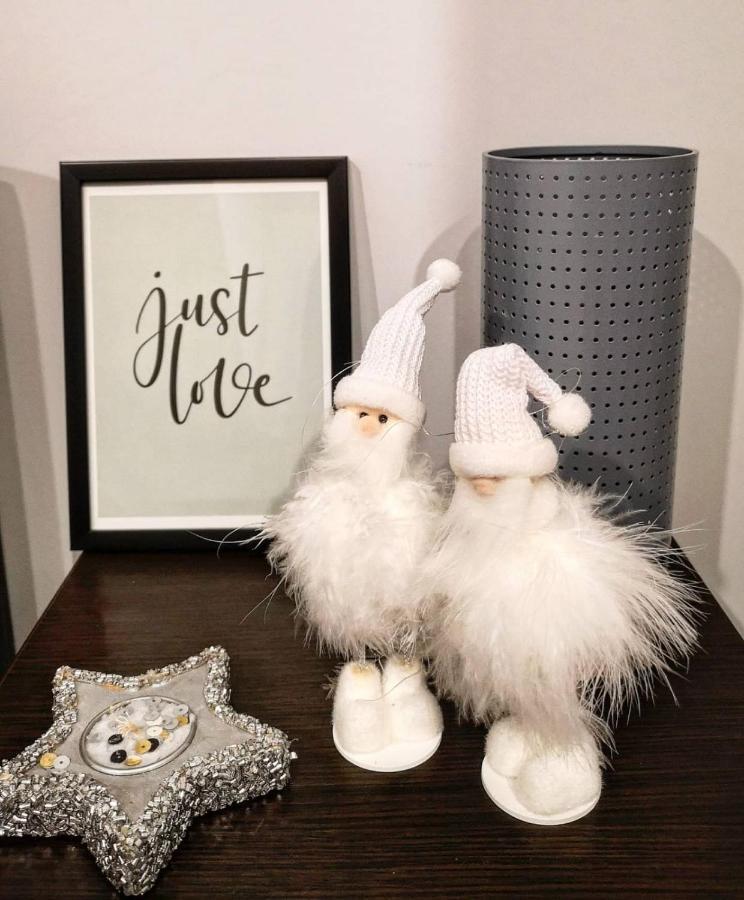 Apartman Jela Nova Varoš エクステリア 写真