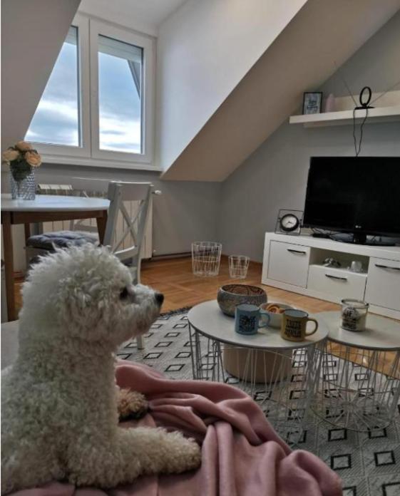 Apartman Jela Nova Varoš エクステリア 写真