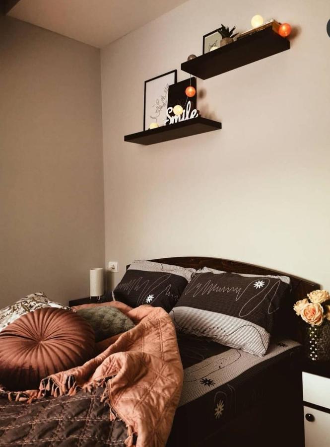 Apartman Jela Nova Varoš エクステリア 写真